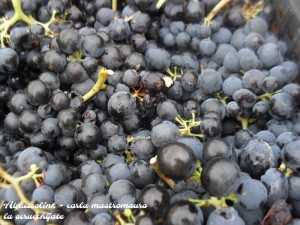 La scrucchijate - marmellata d'uva