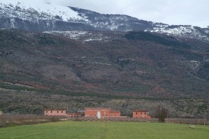Azienda Agricola Cataldi Madonna - Ofena