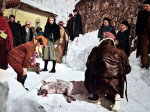 Uomini e lupi - Il lupo ucciso durante le riprese